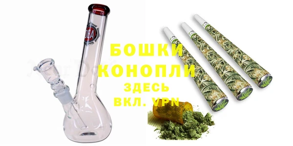PSILOCYBIN Баксан