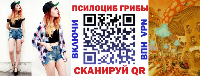 Псилоцибиновые грибы GOLDEN TEACHER как найти закладки Буинск