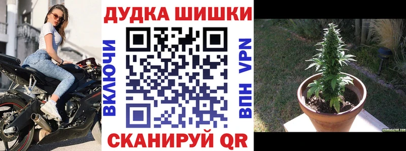 Конопля марихуана  МЕГА маркетплейс  Буинск  сколько стоит 